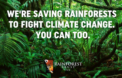 Rainforest Trust UK saving land for conservation 