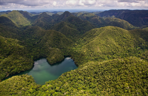 Forêt tropicale en Colombie