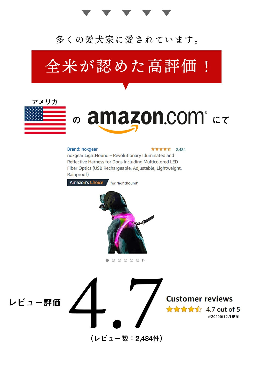 全米が認めた高評価