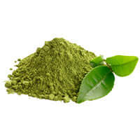 Green Tea Extract