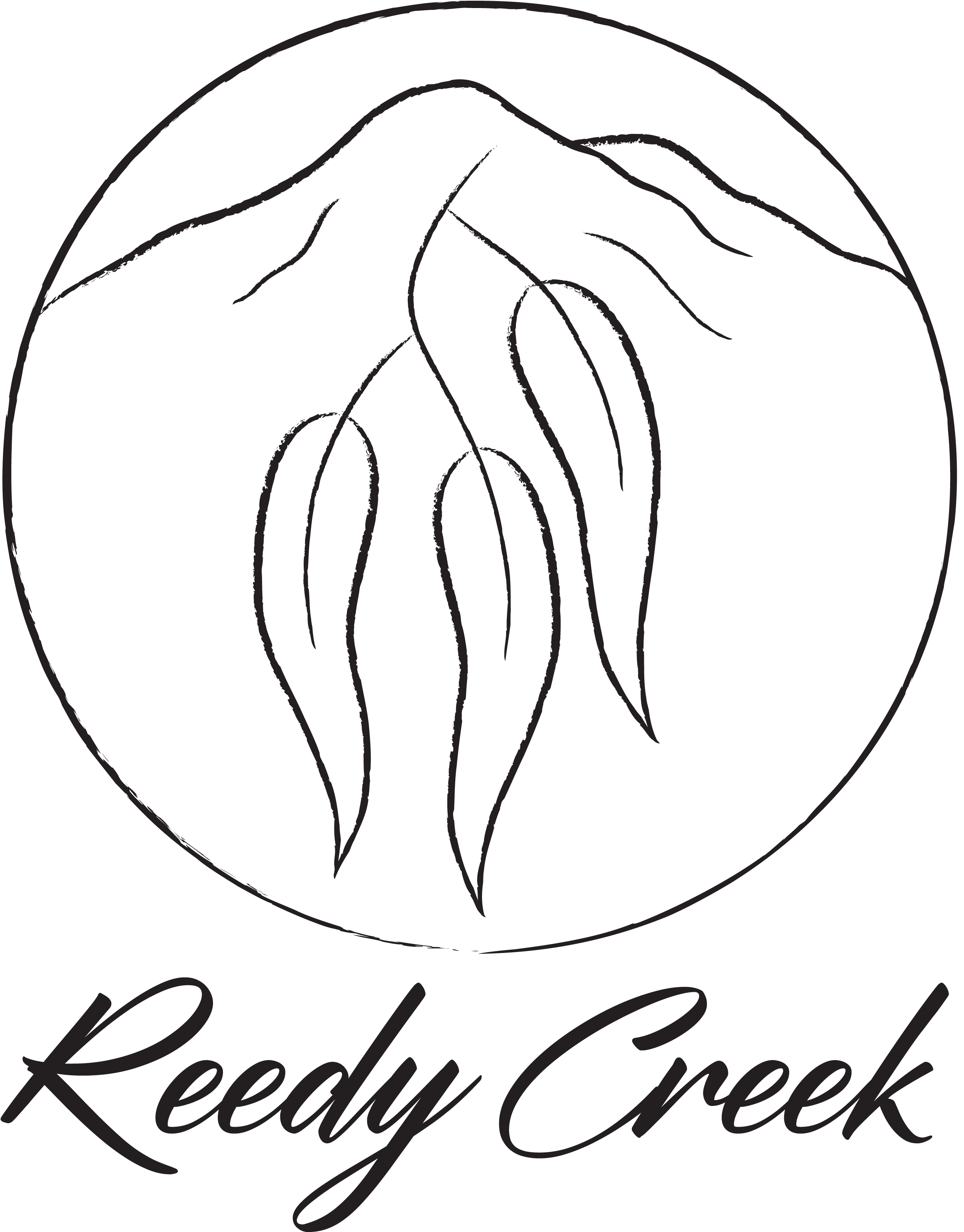 Reedy Creek