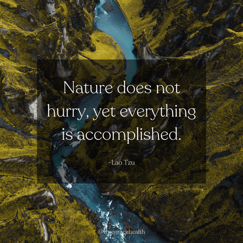 Quote that says "Nature does not hurry, yet everything is accomplished." by Lao Tzu