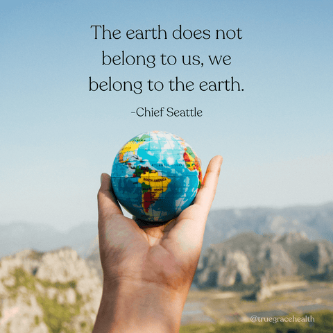 Quote that says "The earth does not belong to us, we belong to the earth." by Chief Seattle
