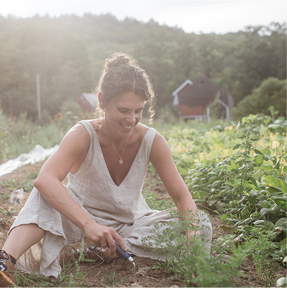 Regenerative agriculture can save our soil.