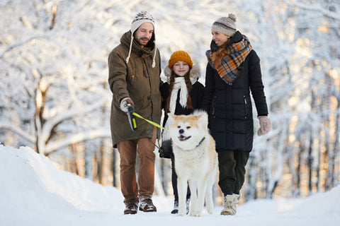 Familie geht mit ihrem Hund spazieren, um Stress zu reduzieren