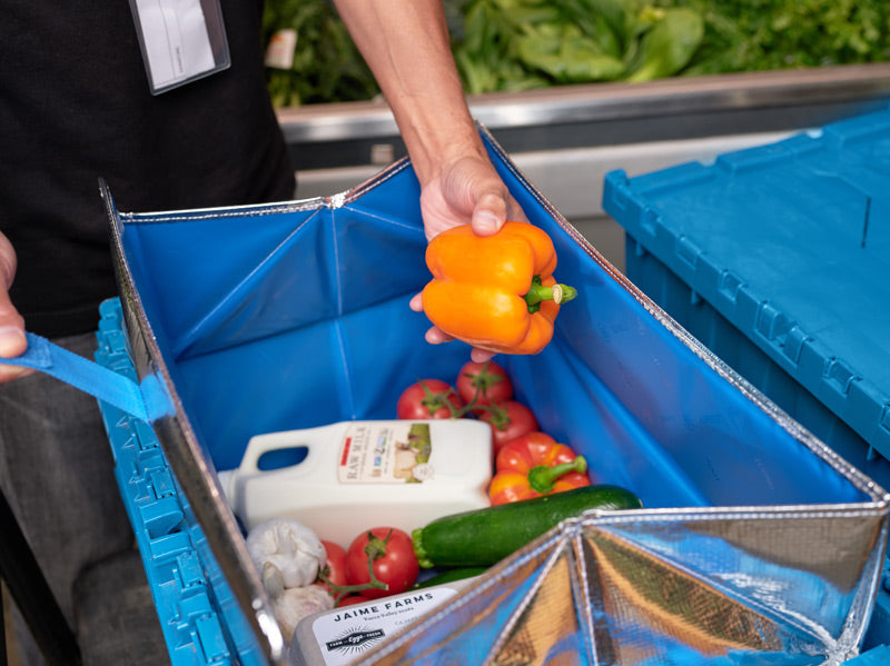 PackIt Fresh EcoFreeze Tote Liner