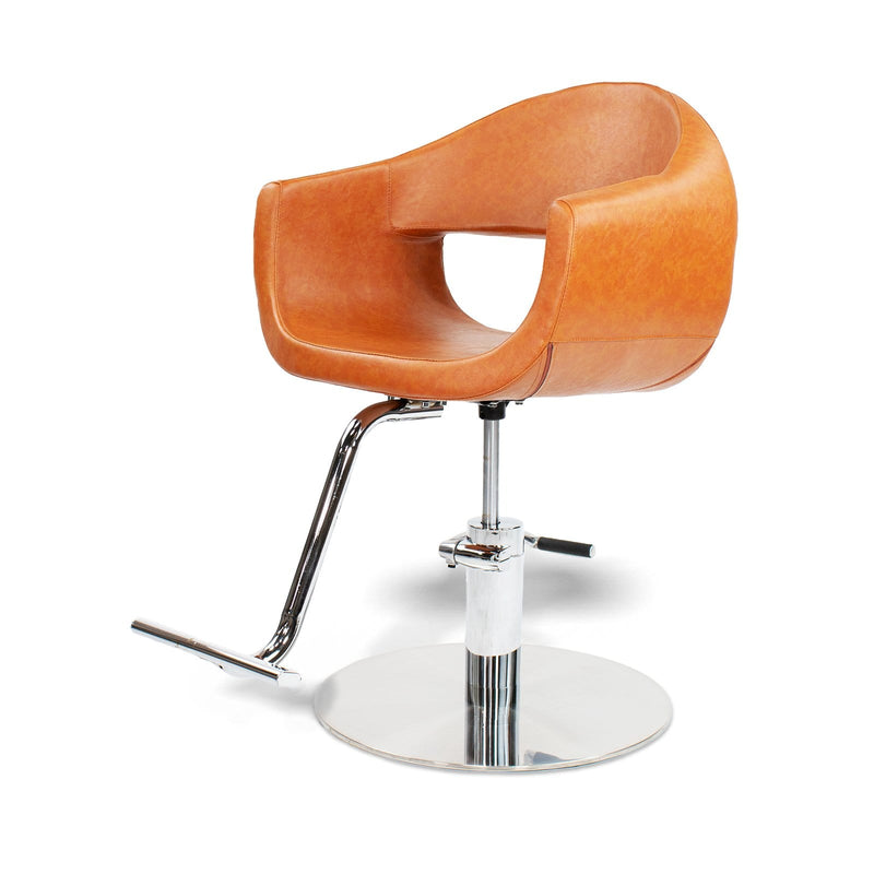 shampoo and styling chair