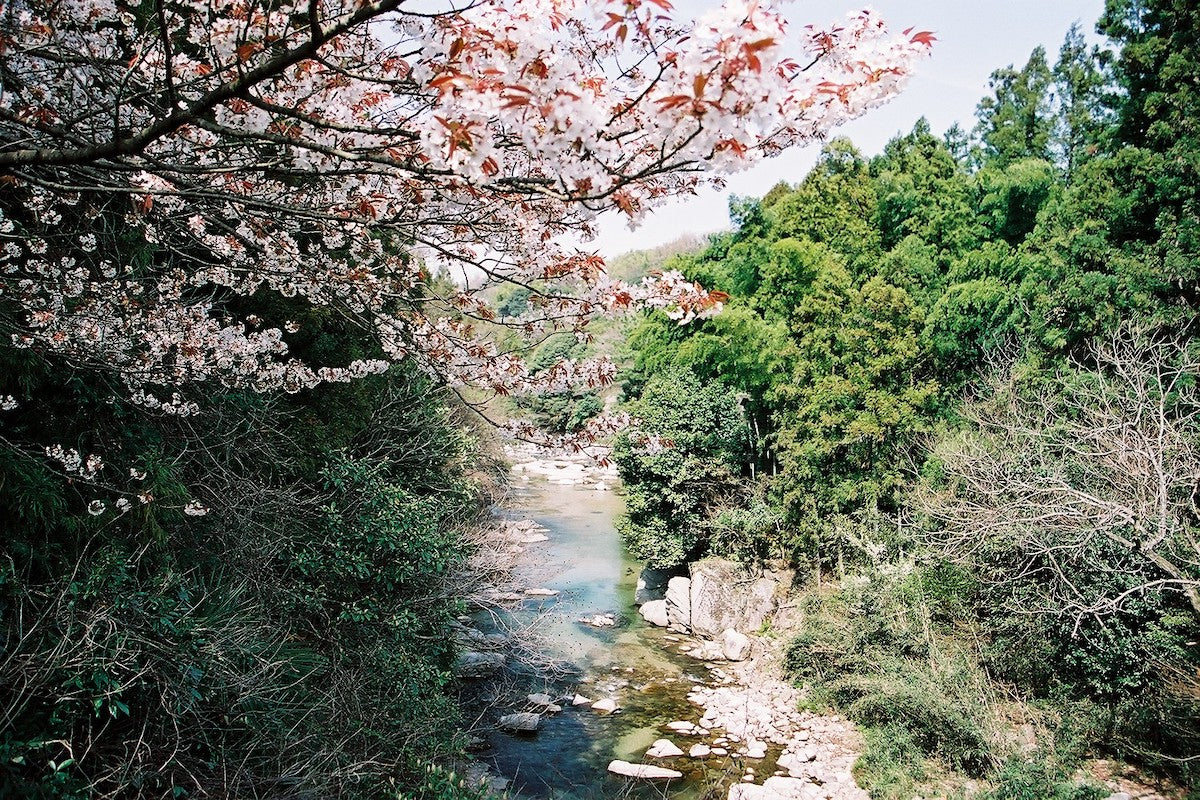 今治の風景