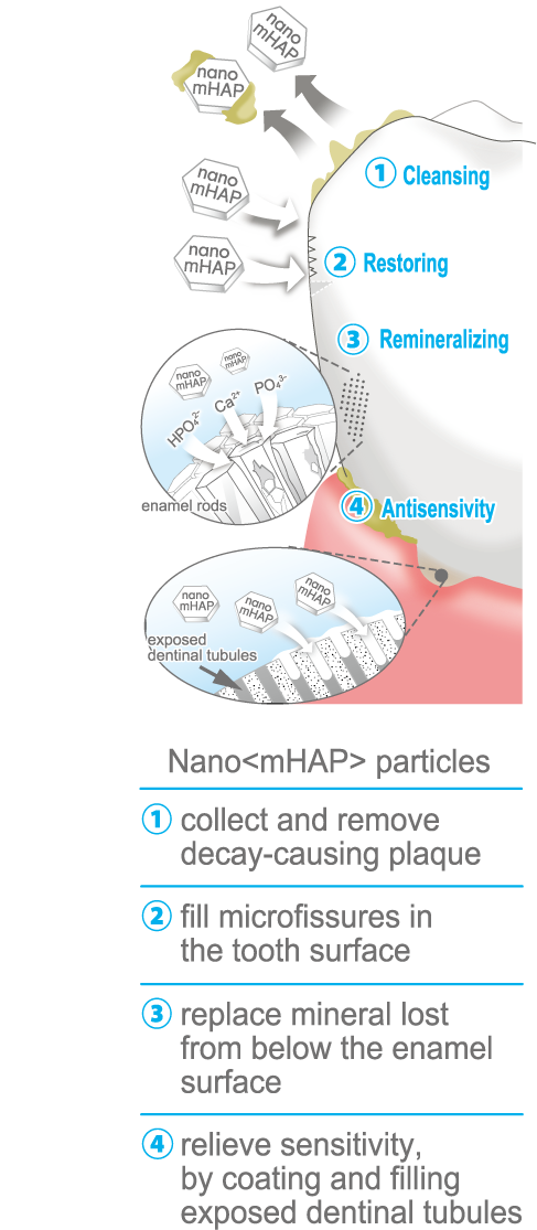 APAGARD M-plus Standard Type Toothpaste 125g