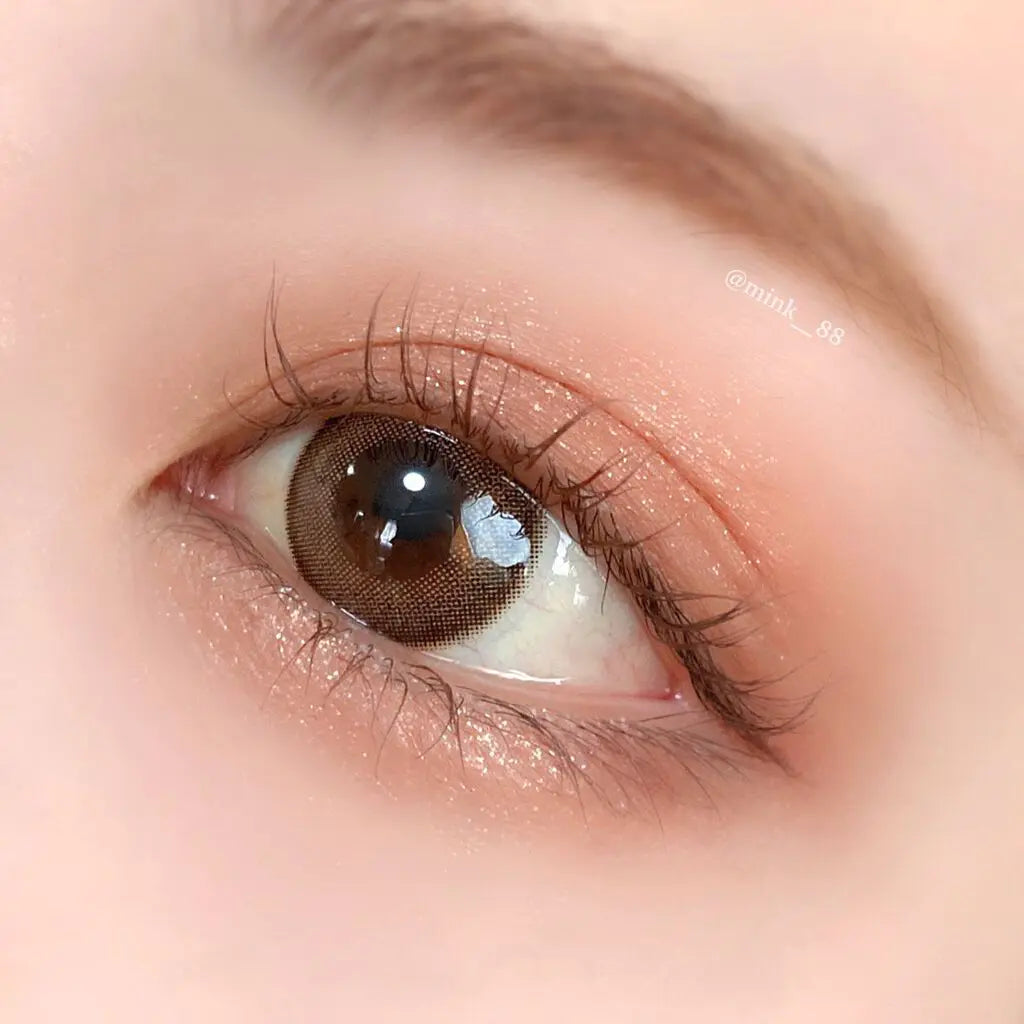 CANMAKE Silky Souffle Eyes (Matte Type) #M01 Sienna Wood