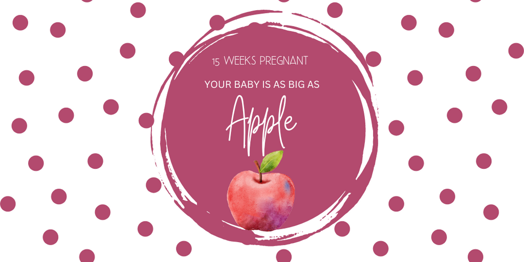 15 weeks pregnant- your baby is as big as apple