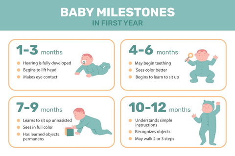 Baby development Month by month - 1 year milestones