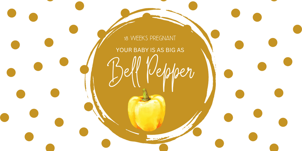 18 weeks pregnant- your baby's size