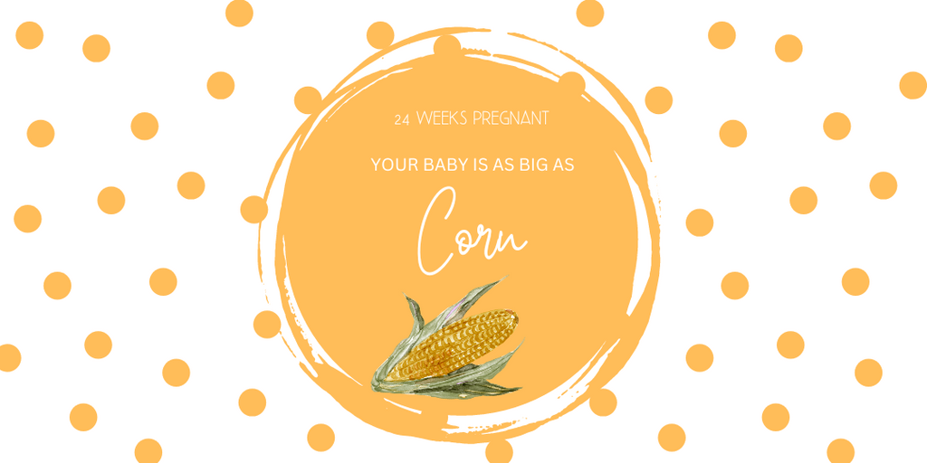 24 weeks pregnant-baby Size