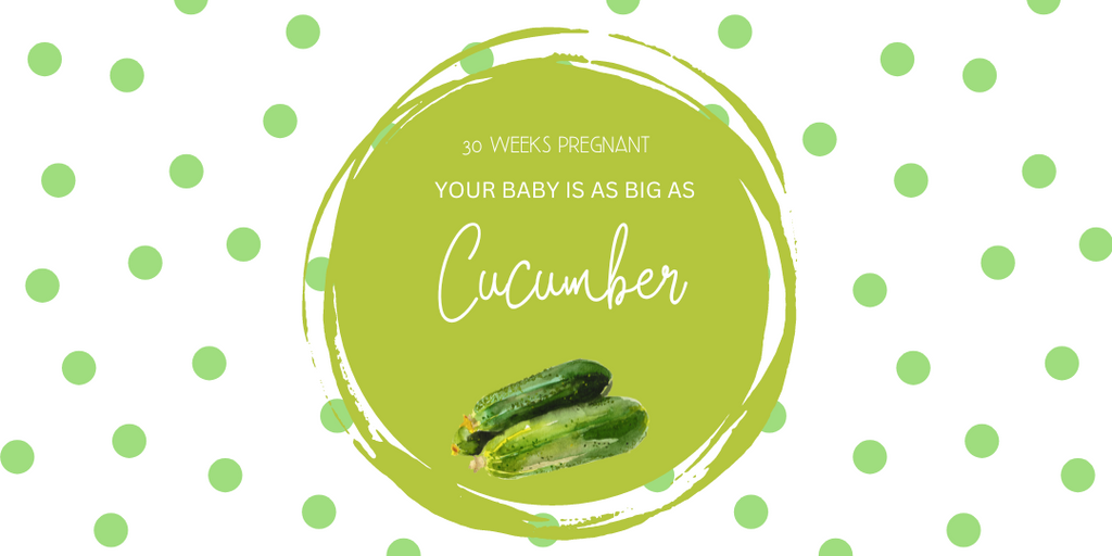 30 weeks pregnant- your baby is as big as cucumber