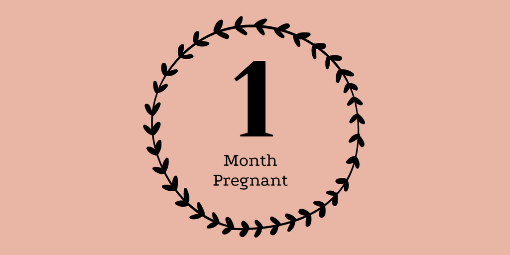 1 month pregnant
