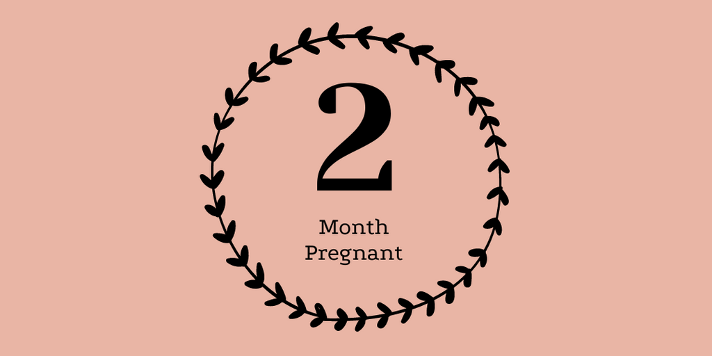 2 - months pregnant
