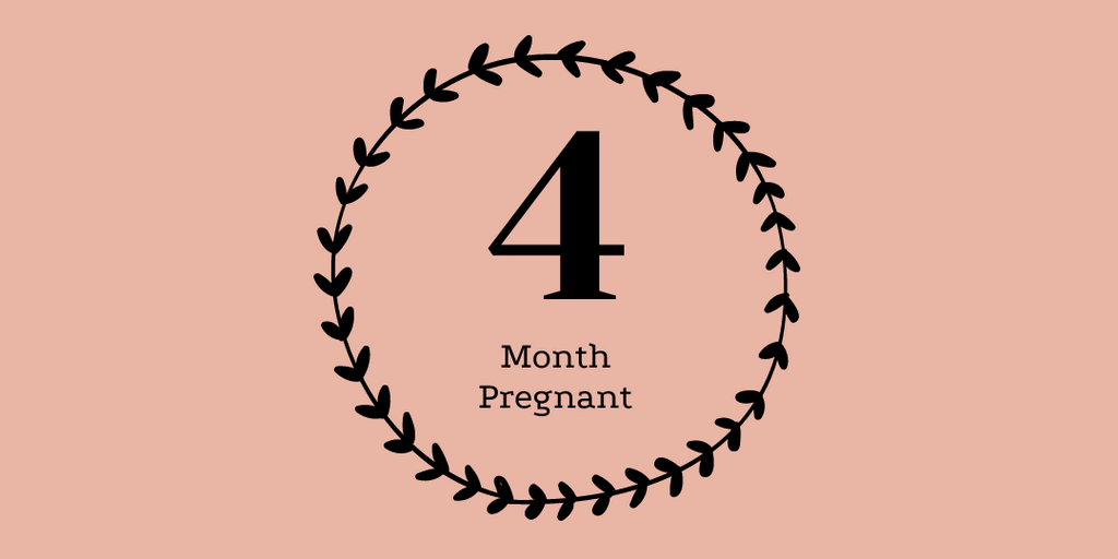4 months pregnant