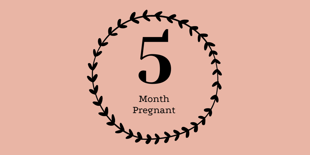 5 month pregnant