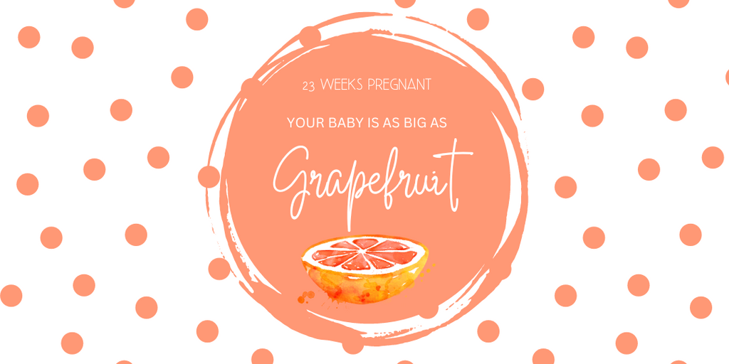 23 weeks of pregnancy- your baby is as big as grapefruit