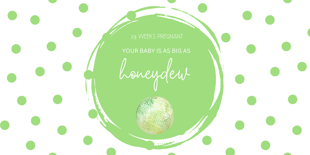 29 weeks pregnant- baby size
