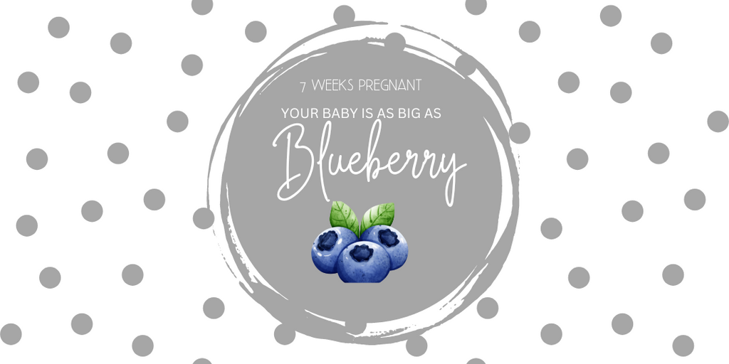7 weeks pregnant your baby is as big as blueberry