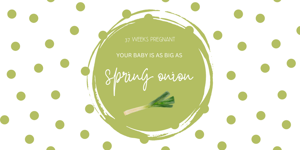 27 weeks pregnant- your baby is as big as spring onion