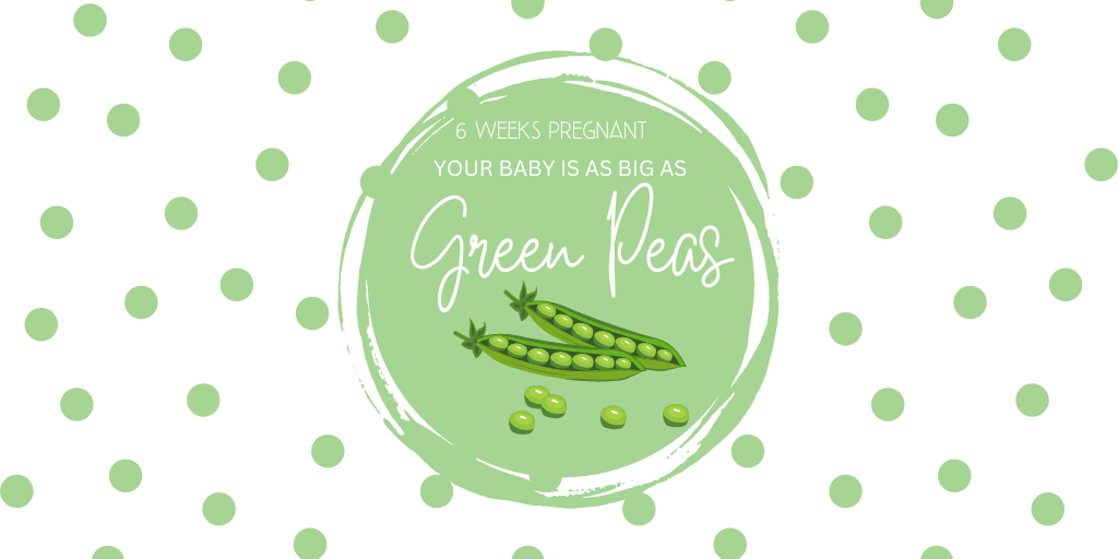 6 Weeks Pregnant- your baby is as big as green peas