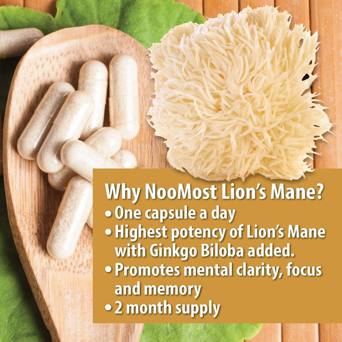 LION'S MANE + GINKGO BILOBA