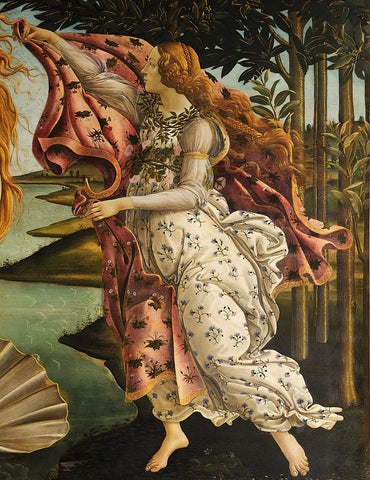 Exploring the Birth of Venus Painting by Botticelli