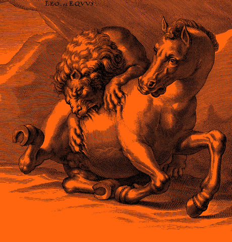 Illustration of a lion attacking a horse