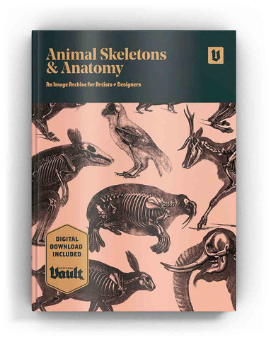 Animal Skeletons and Anatomy