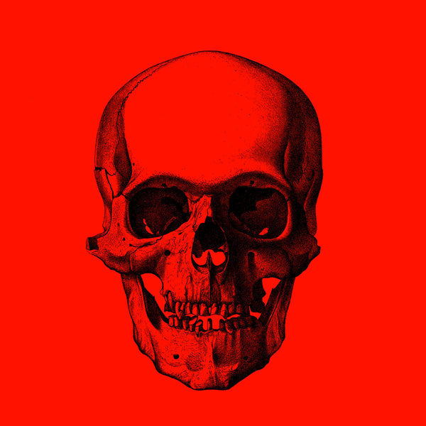 A creepy blackwork skull by  Heroes  Ghosts Tattoo  Facebook