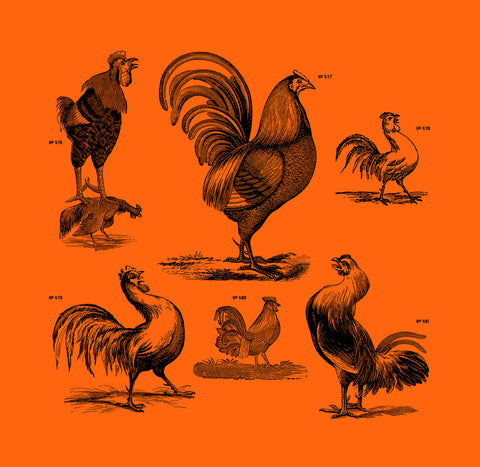 Illustration of roosters