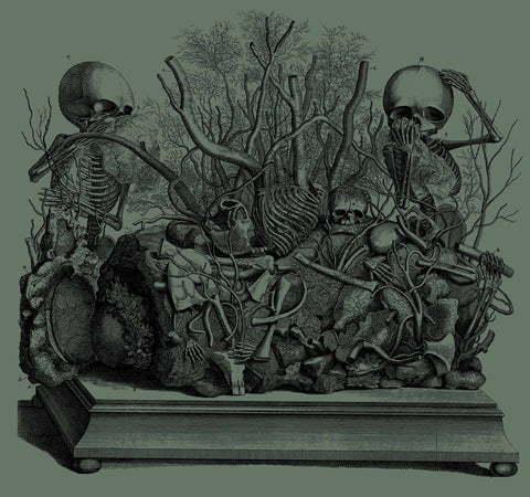 Two small skeletons sitting on either side of a grave between a bush