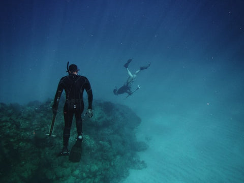 Freedivers hunting with spear guns. Photo by Amy Humphries