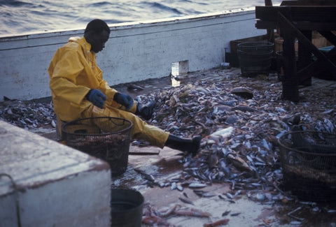 Fisher sitting on a boat surrounded by fish by NOAA