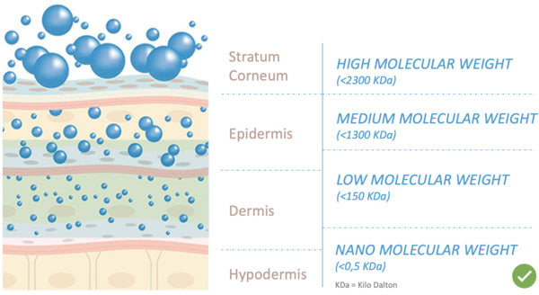 acido hialuronico crema hidratante facial