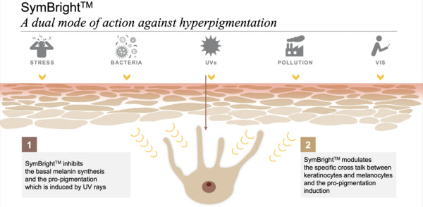 symbright crema hidratante facial