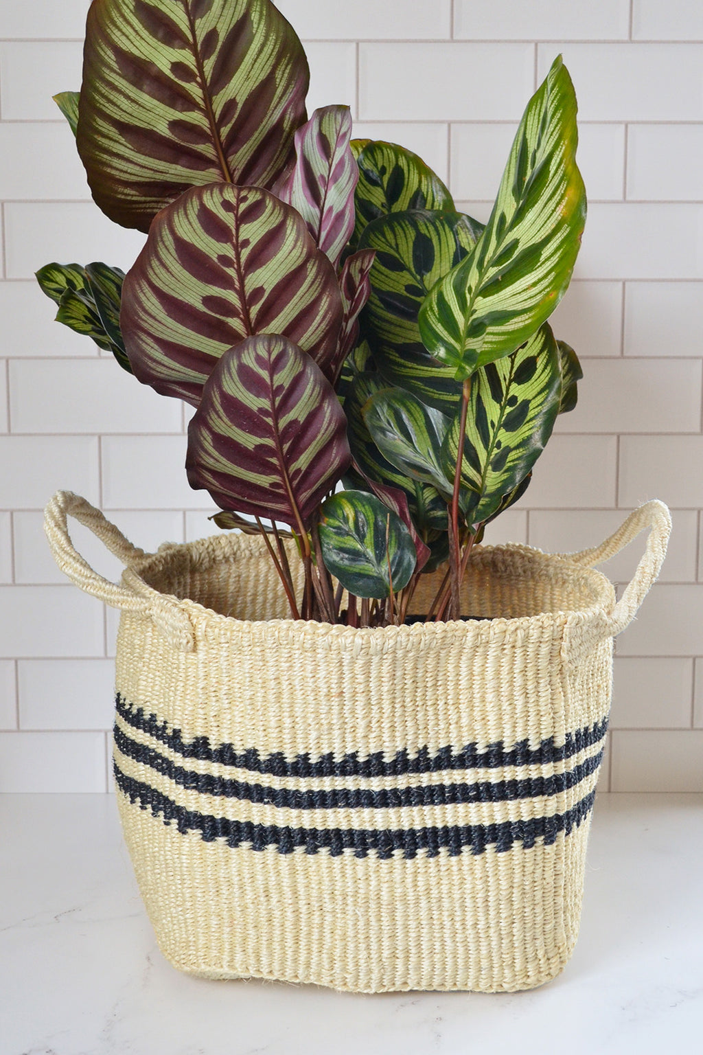 Sunrise Stripe Knitting Basket – Swahili Wholesale