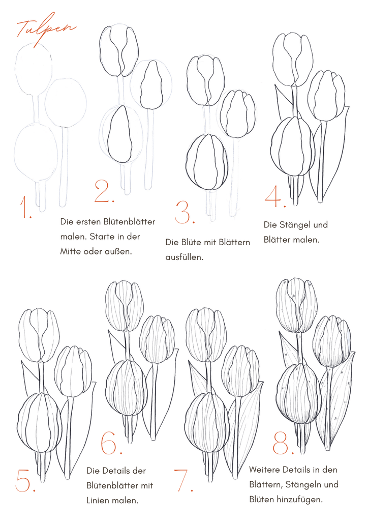 Tulpen malen im Line Art Stil - eine Schritt für Schritt Anleitung