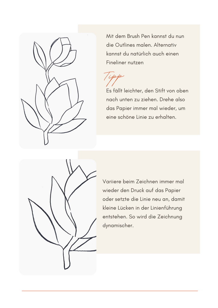 Magnolie Malen - florale Line Art - Outlines - Blumen zeichnen lernen