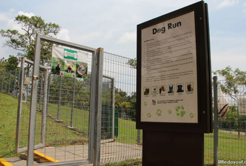 Finding the Perfect Dog Park A Comprehensive Guide