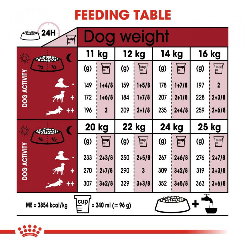 royal canin medium aging