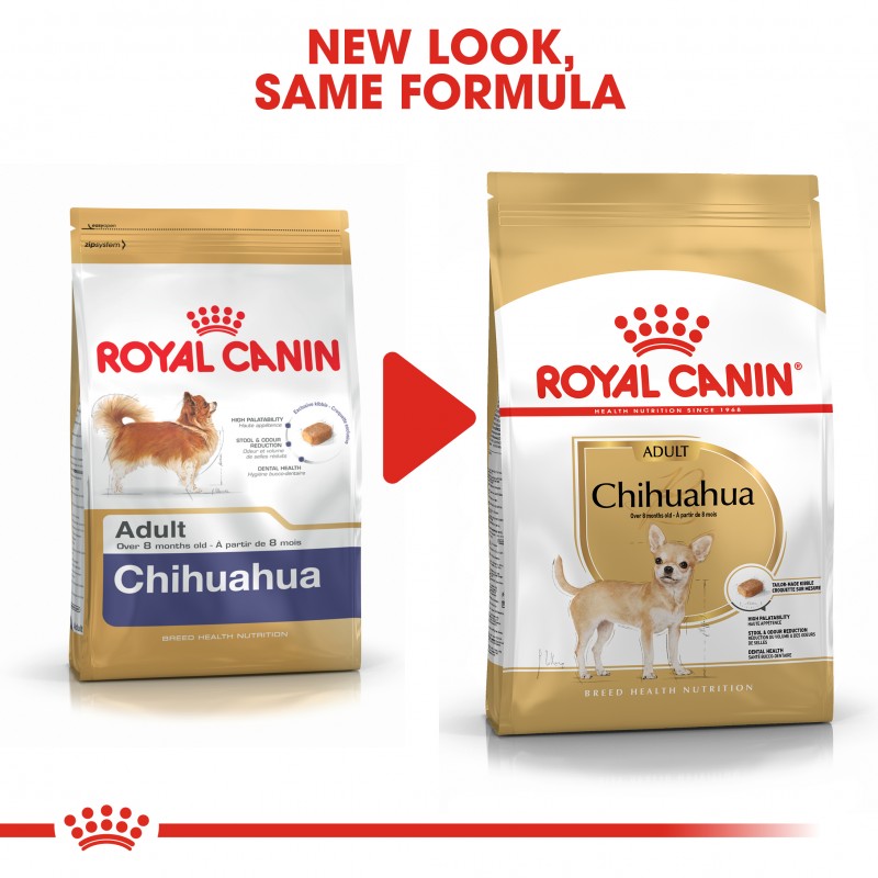 royal canin chihuahua dry dog food