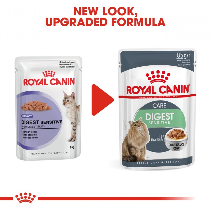 royal canin digest sensitive pouch