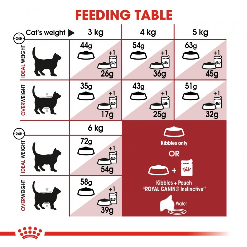 royal canin fit and active cat food