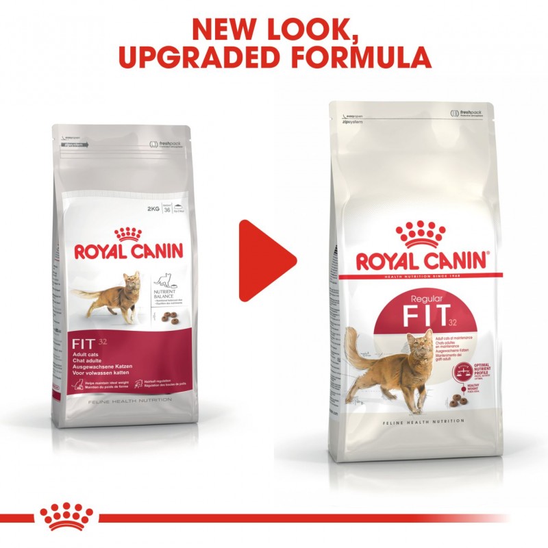 royal canin fit and active cat food