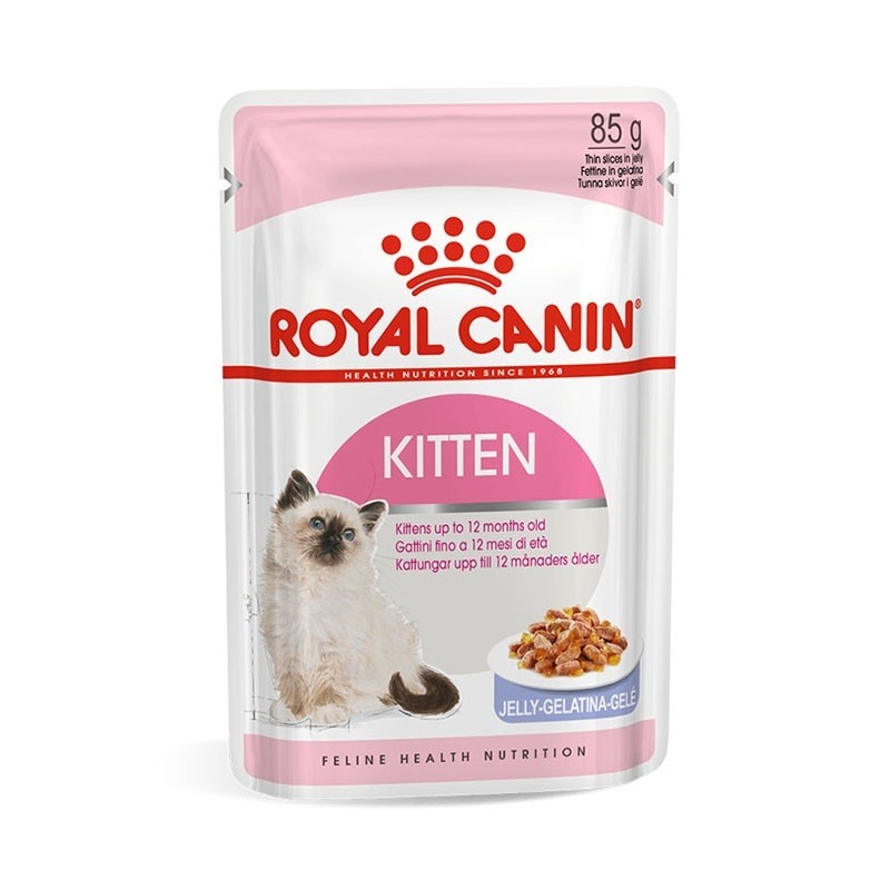 royal canin salmon cat food