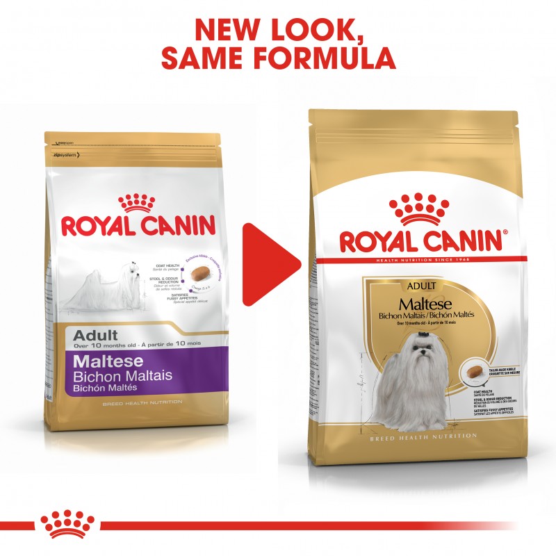 royal canin puppy food maltese